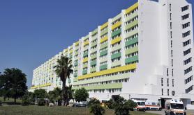 Brindisi, rischiano la vita per una fetta di tonno