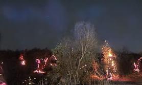 Xylella, in Salento &egrave; allarme incendi tra ulivi secchi