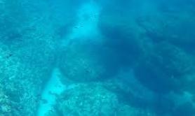 Giornata dell'Ambiente in Puglia, immersioni per liberare i fondali di Leuca dai rifiuti