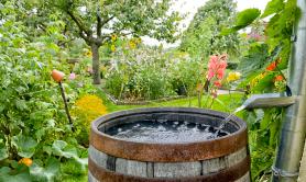 Puglia in emergenza idrica, ordinanza della Regione: &laquo;Non usate l'acqua potabile per innaffiare i giardini&raquo;