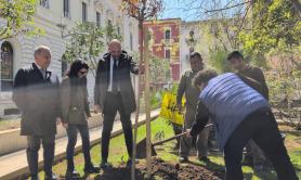 Bari, in piazza Cesare Battisti piantato un albero in ricordo delle vittime innocenti di mafia