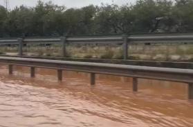 Puglia sotto l'acqua: alberi caduti, smottamenti e strade impraticabili. Disagi anche ai treni  VIDEO/FOTO