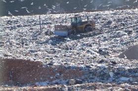 Gestione illecita di rifiuti, sequestro per 550mila euro a due imprese a Trani e Barletta