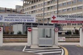 Terlizzi, va a scuola in scooter e finisce contro un cavallo: 18enne finisce in Rianimazione