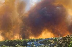 Incendi, la regione Puglia dichiara lo stato d'emergenza