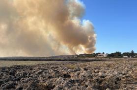 Pulsano, per l'incendio della marina rischiano il processo anche funzionari del Comune e un vigile del fuoco Pulsano, per l'incendio della marina rischiano il processo anche funzionari del Comune e un vigile del fuoco