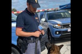 Mola di Bari, spacciavano droga nel locale: sospesa attività