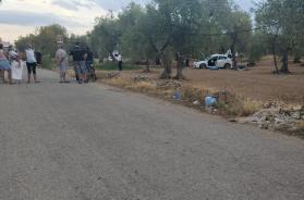 Incidente sulla provinciale Bitonto-Palombaio, muore ex dg Asl Mimmo Colasanto