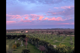 Salento, no alla «colonia» israeliana: naufraga tra polemiche e querele il progetto turistico della Coral 37 di Tel Aviv