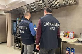 Ristorante invaso dalle blatte e cibo contaminato: attività chiusa in un centro commerciale a Nord di Bari