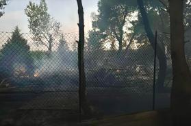 Palagiano, incendio distrugge la pineta di Pino di Lenne: a fuoco ettari di vegetazione, anche pini secolari