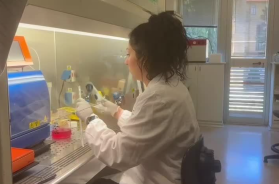 Tumore al colon-retto, la sentinella è il microbioma intestinale: lo studio dell'Università di Bari