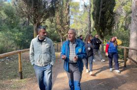 «Nei prossimi 5 anni più aree verdi e boschi»: la proposta di Decaro sulla forestazione regionale VIDEO