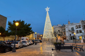 Bari, vandalizzati due alberi luminosi di Natale a Barivecchia e a Palese