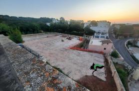 Tricase, realizzano un parcheggio abusivo in area vincolata estirpando gli alberi: 4 denunce