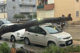 La Puglia nella morsa del maltempo: allerta arancione in tutta la regione, a Taranto scuole chiuse, alberi e pali caduti nel Salento