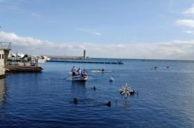 A Bari il primo Albero di Natale Subacqueo: un omaggio al mare di San Nicola e alla memoria di ieri e di oggi A Bari il primo Albero di Natale Subacqueo: un omaggio al mare di San Nicola e alla memoria di ieri e di oggi