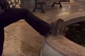 Alberobello, 15enne gettò un gatto nella fontana e diffuse il video sui social: reato estinto dopo la messa alla prova Alberobello, 15enne gettò un gatto nella fontana e diffuse il video sui social: reato estinto dopo la messa alla prova