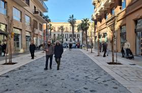 Bari, in via Argiro "sbocciano" alberi: piantumate le essenze tipiche della macchia mediterranea