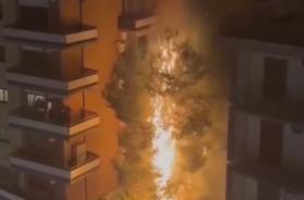 Foggia, albero prende fuoco dopo i fuochi d’artificio di Capodanno: il video Foggia, albero prende fuoco dopo i fuochi d’artificio di Capodanno: il video