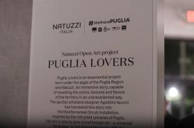 &laquo;La missione della Regione a Miami? Un favore fatto a Natuzzi&raquo;. La Corte dei conti: &egrave; danno erariale