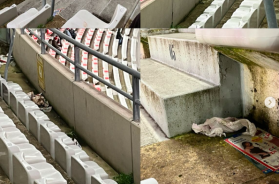 Bari, allo stadio San Nicola quel che resta dopo la partita Bari-Palermo: &laquo;sporcizia ovunque&raquo; VIDEO 