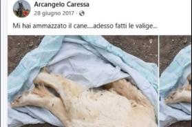 Taranto, l'istruttore del cane-eroe Bruno e quelle denunce sui social con altri animali uccisi: una nuova discrepanza