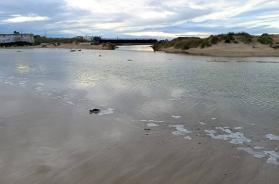 Maltempo, in Salento esonda il fiume Idume: a Torre Chianca case allagate, notte da incubo per i residenti