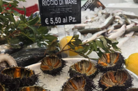 Carissima Puglia, a Fasano i ricci venduti in pescheria a cinque euro e mezzo Carissima Puglia, a Fasano i ricci venduti in pescheria a cinque euro e mezzo