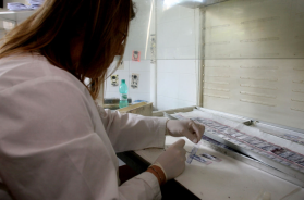 Basilicata, boom di adesioni per i controlli alla prostata: in 7mila per la prevenzione