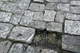 Bari, mette il piede su una basola traballante e cade rompendosi l'omero: prof.ssa denuncia sui social &laquo;Ma chi interviene?&raquo;