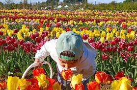 Ecco cosa fare in Puglia e in Basilicata nel weekend dal 20 al 22 marzo 2026