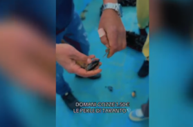 &laquo;Cozze greche spacciate per tarantine, l'ultima trovata napoletana&raquo;: gli ambientalisti denunciano video virale sui social