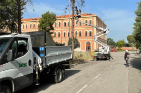 Enel sospende l&rsquo;affidamento alla Colemi di Guadalupi