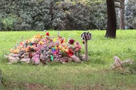 Bari, il cimitero dei cani del clan a Japigia sar&agrave; dismesso: via le 56 tombe abusive