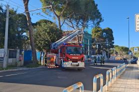 Bari, albero a rischio crollo in corso Alcide De Gasperi: strada chiusa Bari, albero a rischio crollo in corso Alcide De Gasperi: strada chiusa