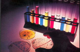 Scontro frontale nella sanità, arriva lo stop ai centri prelievi di Martano e Campi Salentina Scontro frontale nella sanità, arriva lo stop ai centri prelievi di Martano e Campi Salentina