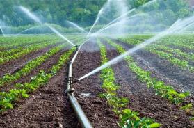 Acqua garantita per l&rsquo;estate: al via dal 15 aprile la stagione irrigua per il Consorzio di Capitanata e comuni della BAT