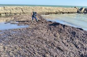 Lecce, due darsene nel caos: il Comune corre ai ripari, c'&egrave; l'ipotesi affidamento diretto