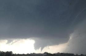 Tromba d'aria tra Oria e Torre Santa Susanna, alberi divelti e muri di recinzione crollati