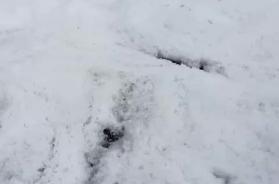 Crispiano, violenta grandinata improvvisa: strade e campi imbiancati &laquo;sembra un paesaggio invernale&raquo; VIDEO