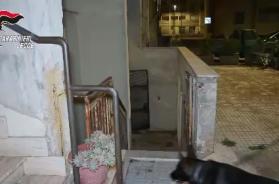 Maxioperazione antidroga nel Salento: venti arresti, smantellata rete dello spaccio da Nardò a Galatone VIDEO
