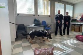 I pacchi con la spesa avevano il doppio fondo: sequestrati 1,3kg di hashish nel carcere di Lecce VIDEO