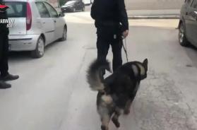 Nascondeva in casa armi, droga e contanti: a Triggiano arrestato 23enne sorvegliato speciale VIDEO Nascondeva in casa armi, droga e contanti: a Triggiano arrestato 23enne sorvegliato speciale VIDEO