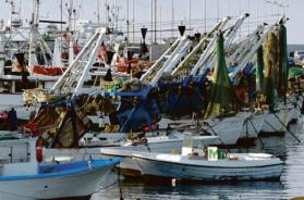 Pesca, fine del fermo ma dei ristori nessuna traccia. E a Mola 20 pescherecci su 60 hanno cessato l’attività