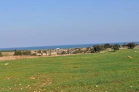 Dune costiere, c'&egrave; il progetto di un resort a 5 stelle: l'area di oltre 140 ettari venduta a un immobiliarista romano