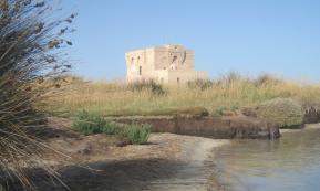 Torre Guaceto