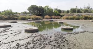 Conversano, a causa del caldo si &egrave; prosciugato il lago