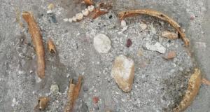 Porto Cesareo, mareggiata riporta alla luce tombe e scheletri