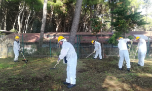 Ex Isolaverde, tempo scaduto: a Taranto da martedi altri 97 disoccupati